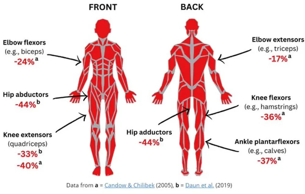 Do You Want to Help People and Make the World better? Become an Exercise Instructor for Seniors with Forever Active 1 as we age we naturally lose muscle strength